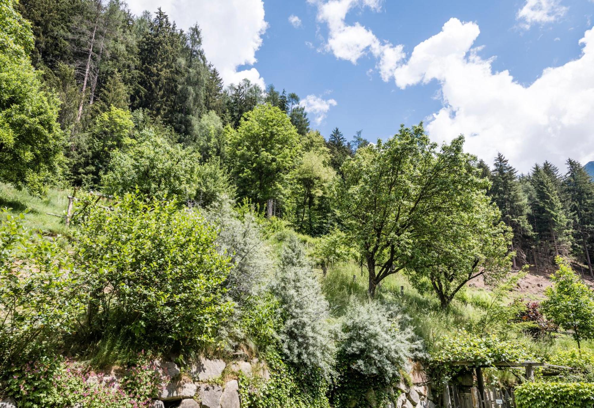 Naturresidenz Mair Zu Hof Sand in Taufers Exterior foto
